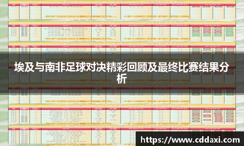 埃及与南非足球对决精彩回顾及最终比赛结果分析